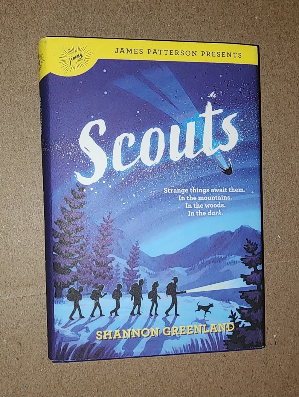 Scouts by Shannon Greenland - Purple Blue Cover
